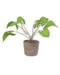KidsDepot plant Zebrina - Groen