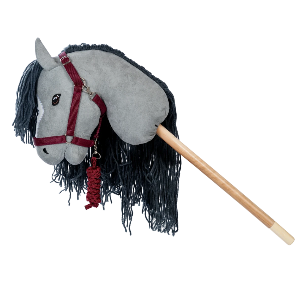 Halster en Halstertouw rood