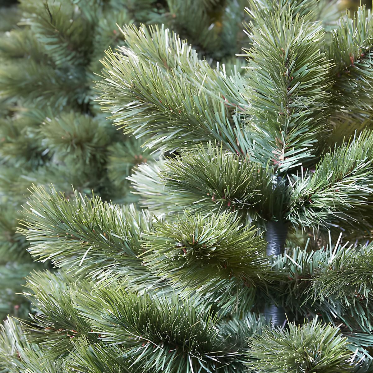 Triumph Tree Camden Kunstkerstboom – 230 cm