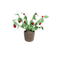 Kidsdepot plant Strawberry - rood