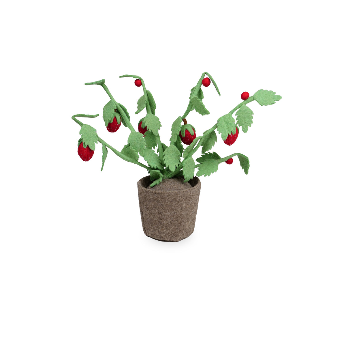 Kidsdepot plant Strawberry - rood