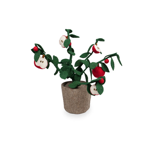Kidsdepot plant Apple - rood