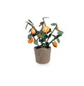 Kidsdepot plant Orange -