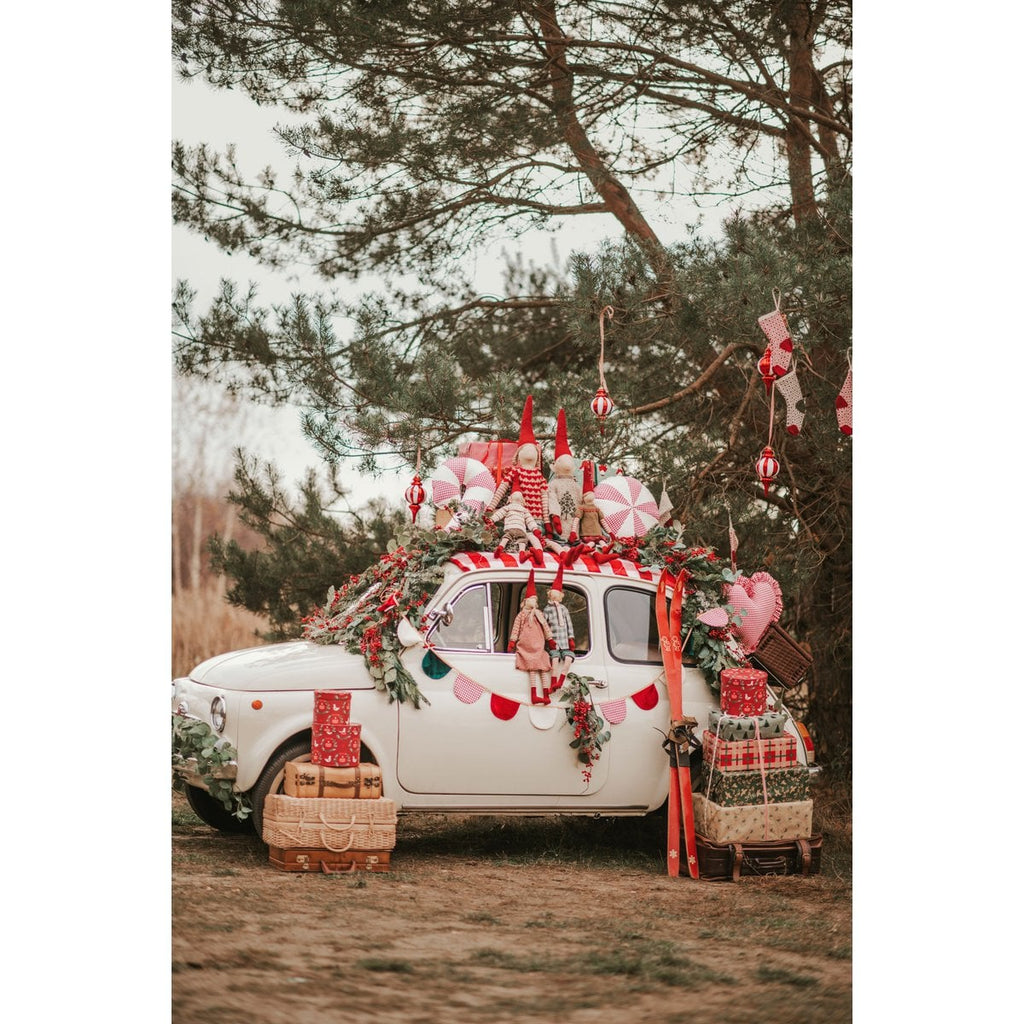 Moi Mili Sierkussen Lollipop – Rood geruit