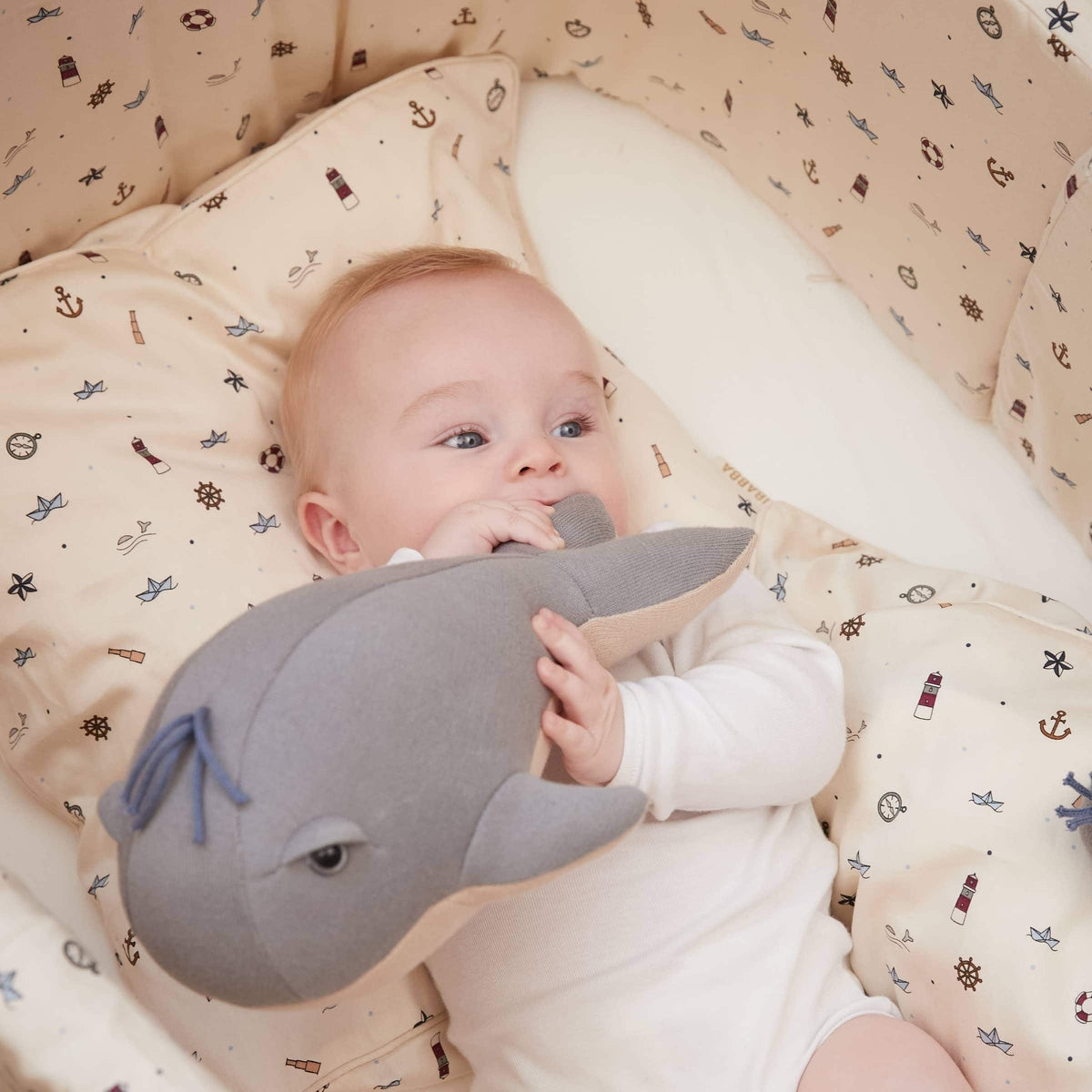 Willie the Whale Grijs
